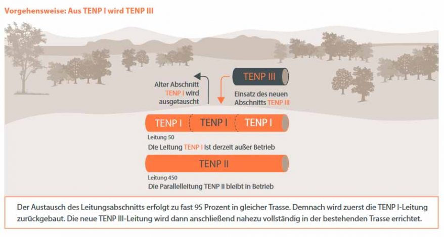 Umbau der Gaspipelin TENP rund um Hauenstein